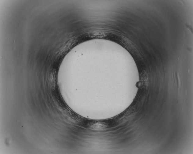 X0000102780460200809081031