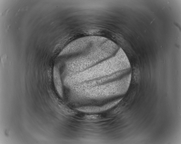 X0000102780461200809081031