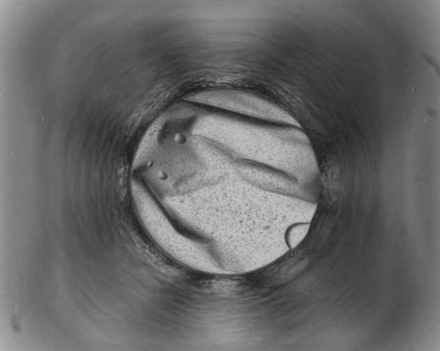 X0000102780462200809081031