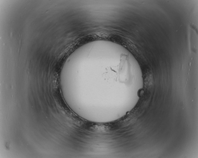 X0000102780464200809081031