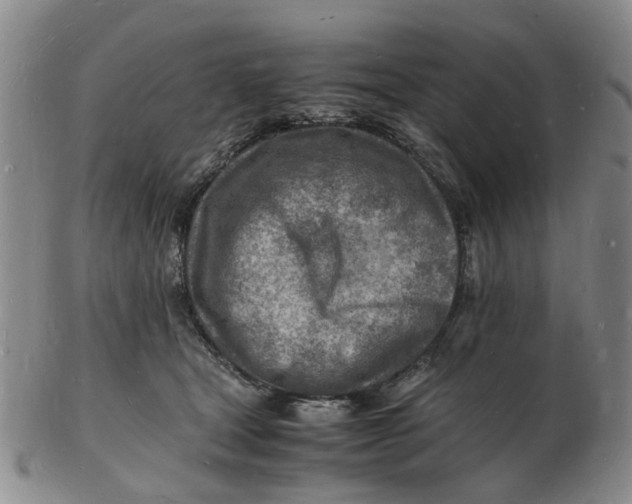 X0000102780465200809081031