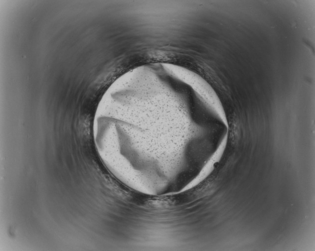 X0000102780466200809081031