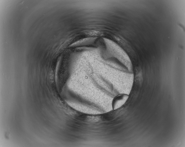 X0000102780469200809081031