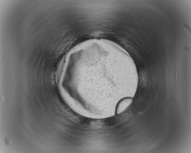 X0000102780470200809081031