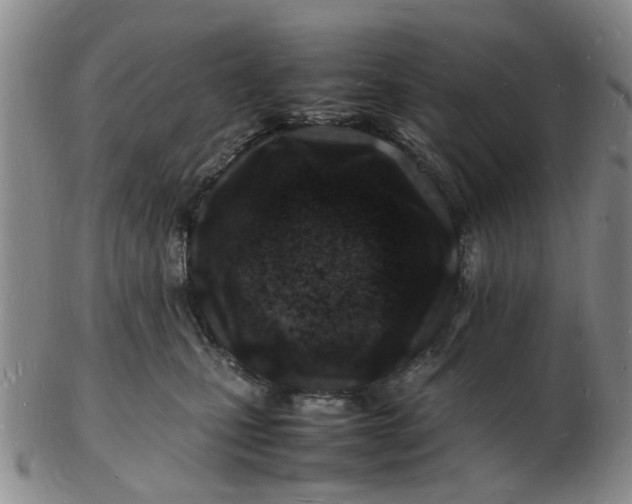 X0000102780471200809081031