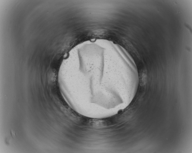 X0000102780472200809081031