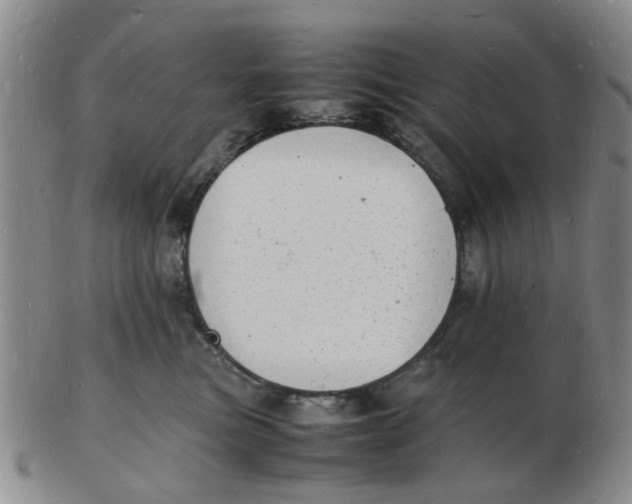 X0000102780473200809081031