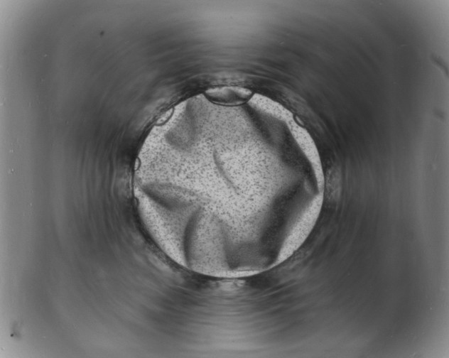 X0000102780474200809081031