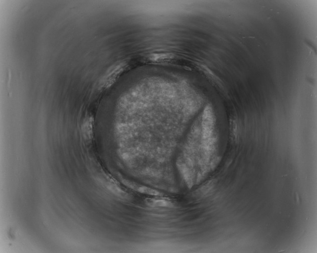 X0000102780475200809081031