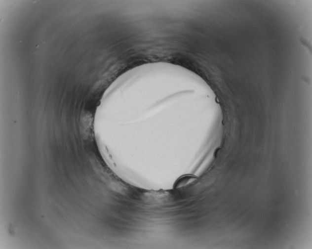 X0000102780480200809081031