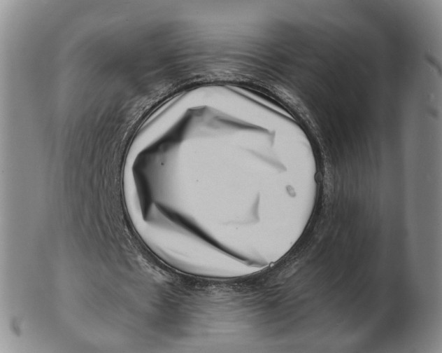 X0000102780481200809081030