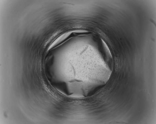 X0000102780482200809081030