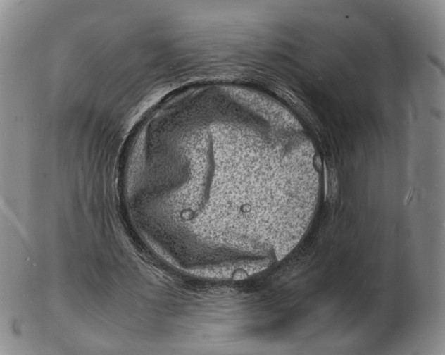 X0000102780483200809081030