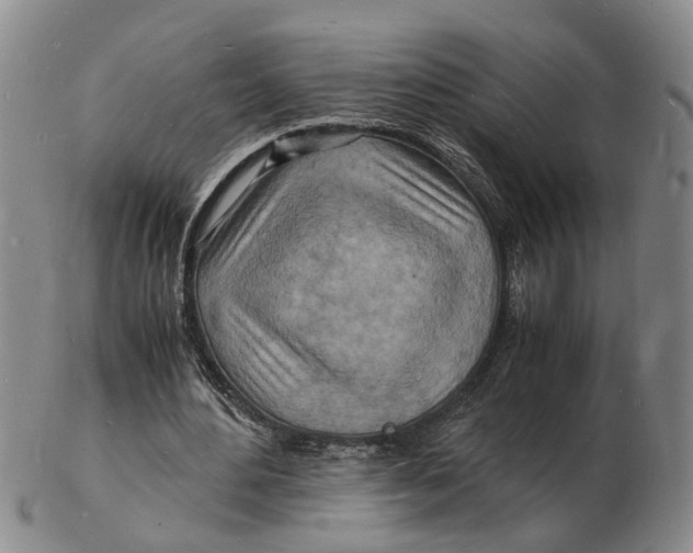 X0000102780484200809081030