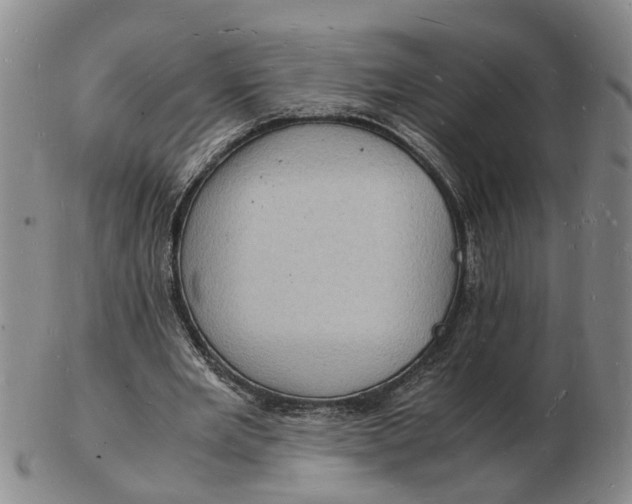 X0000102780485200809081030