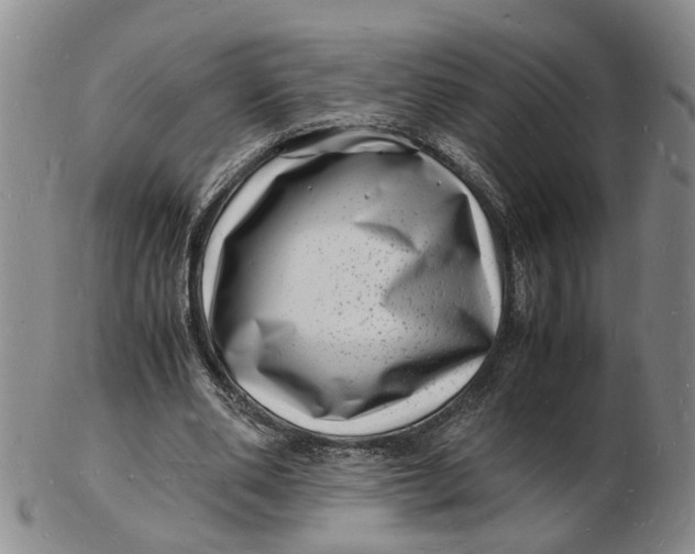 X0000102780486200809081030