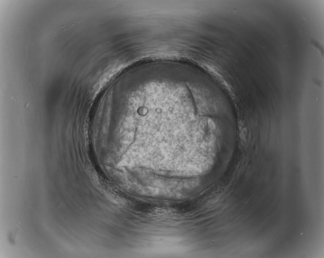 X0000102780487200809081030