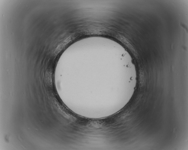 X0000102780489200809081030