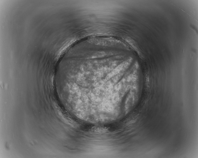 X0000102780491200809081030