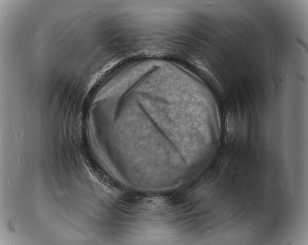 X0000102780492200809081030