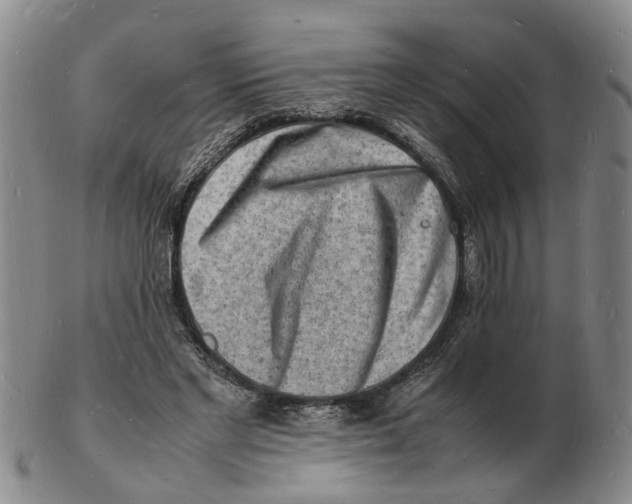 X0000102780493200809081030