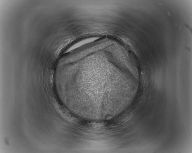 X0000102780495200809081030