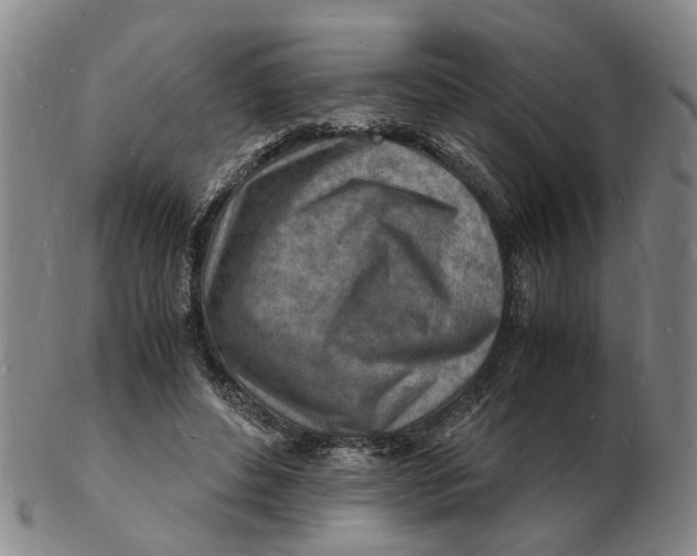 X0000102780496200809081030