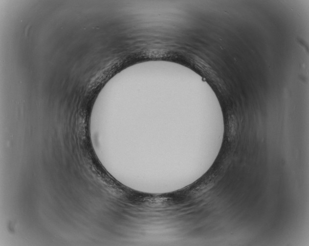 X0000102780497200809081030