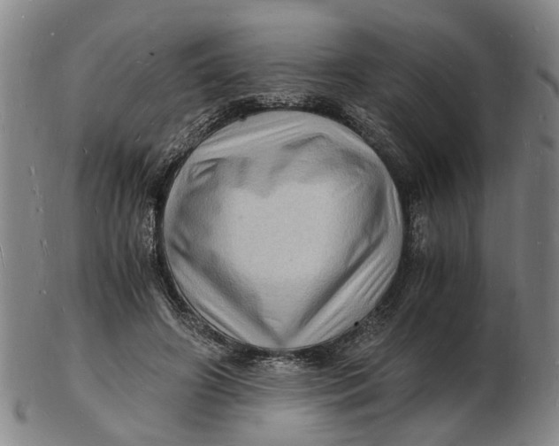 X0000102780498200809081030