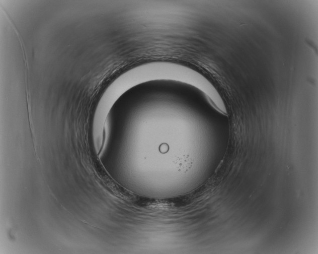 X0000102780499200809081030