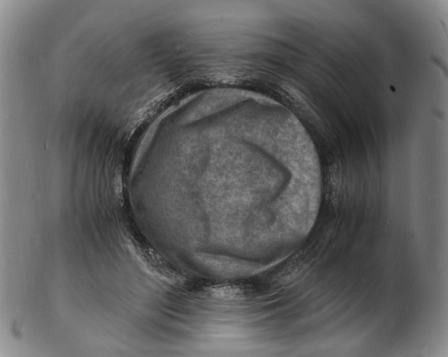 X0000102780500200809081030