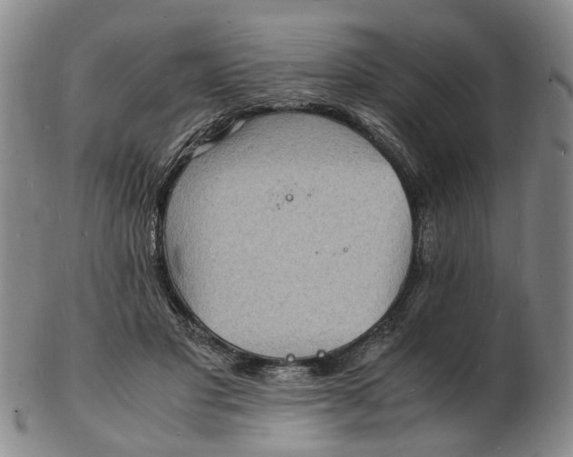 X0000102780501200809081030