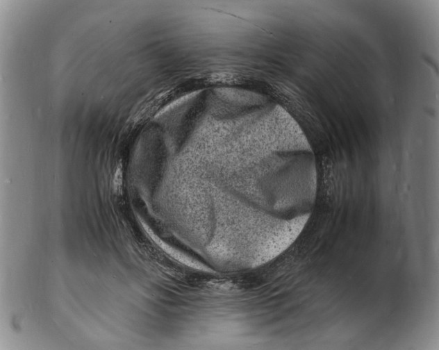 X0000102780502200809081030