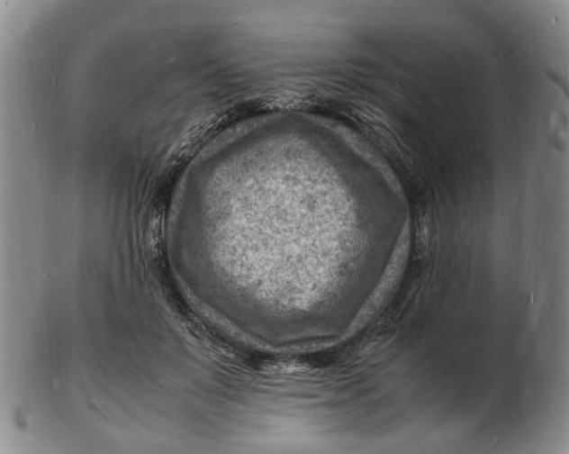 X0000102780503200809081030