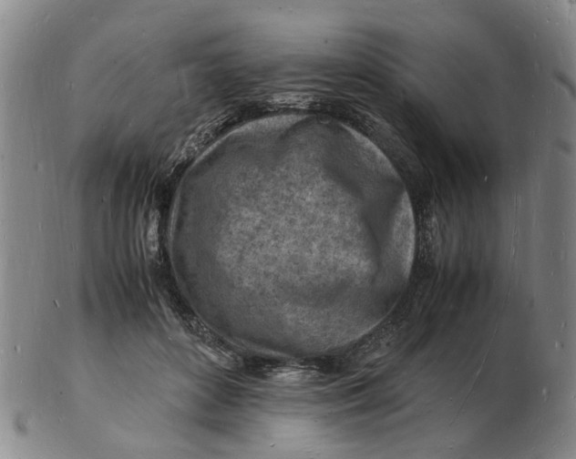 X0000102780504200809081030