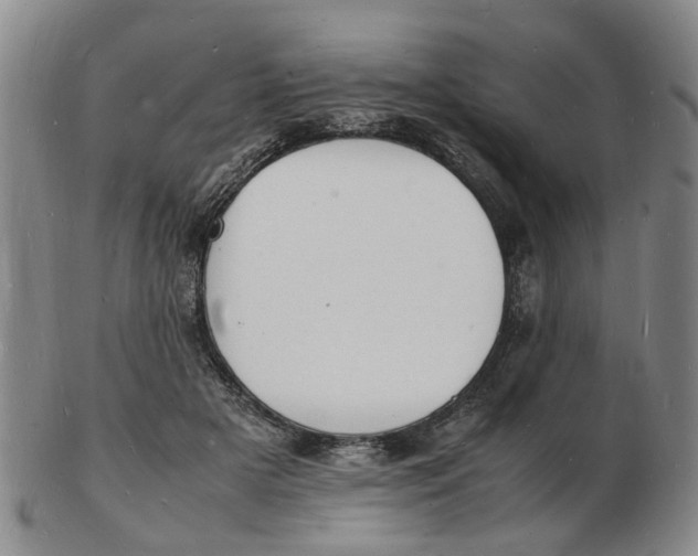 X0000102780505200809081030