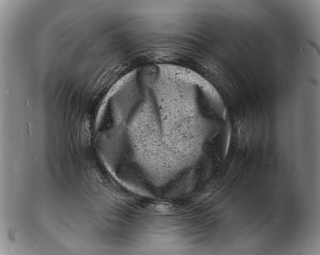 X0000102780506200809081030