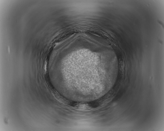 X0000102780507200809081030