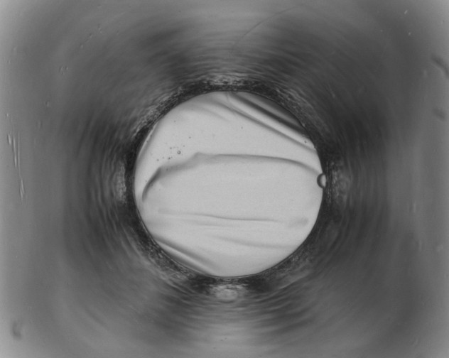 X0000102780508200809081030