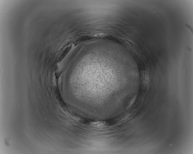 X0000102780511200809081030