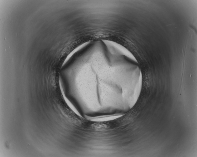 X0000102780512200809081030