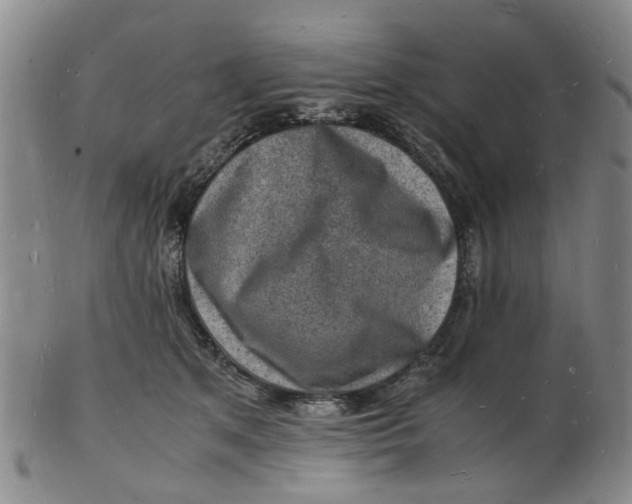 X0000102780513200809081030