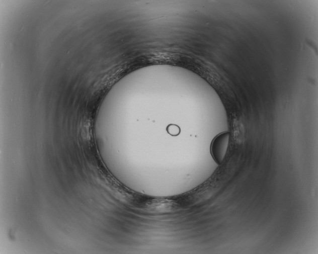 X0000102780514200809081030