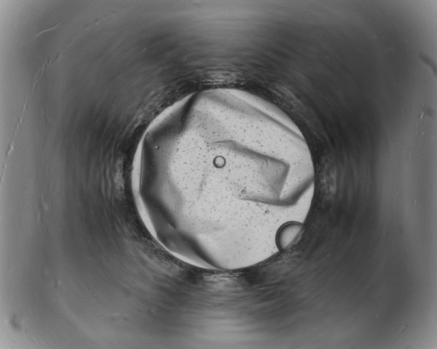 X0000102780516200809081030