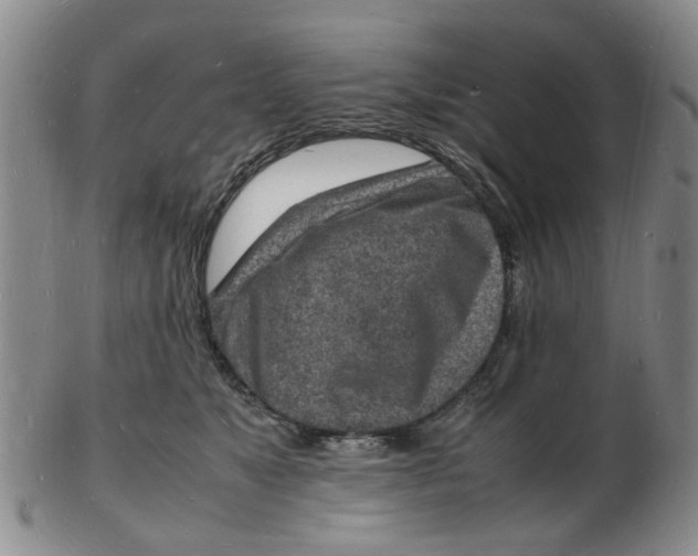 X0000102780517200809081030