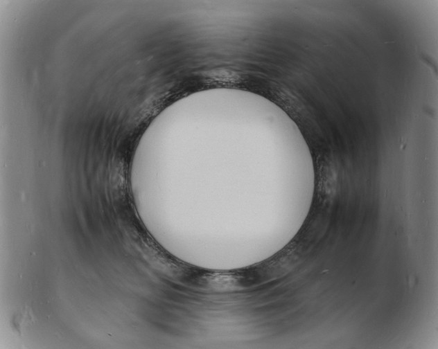 X0000102780518200809081030