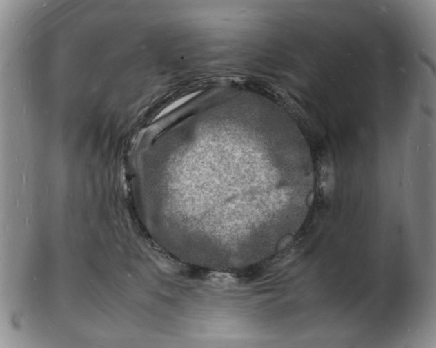 X0000102780519200809081030