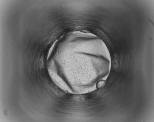 X0000102780520200809081030