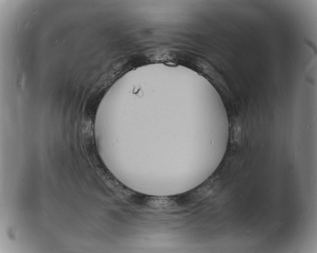 X0000102780521200809081030