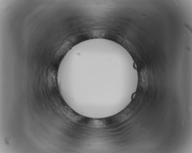 X0000102780522200809081030